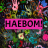 icon HAEBOM! 3.0.0