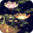 icon Lotus Lantern 1.3.5