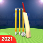 icon Cricket Game Championship 3D