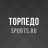 icon ru.sports.torpedo 4.1.3