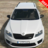 icon skoda Car Simulator 1.0