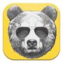 icon Hipster Bears Live Wallpapers for LG K10 LTE(K420ds)