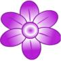 icon Flower Shower for Huawei MediaPad M3 Lite 10