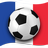 icon Jalvasco Euro 2016 1.07