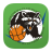 icon Basketball-Club Zwickau 1.1