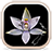icon NZ Orchids 1.0.3