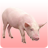icon Pig sound 1.14