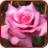 icon Rose 1.0.3