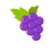 icon Catcher Grapes 1.03