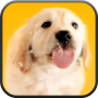 icon Puppy Licks Screen for Sony Xperia XZ1 Compact