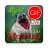 icon GIF Afrikaans Morning & Night 2.15.01