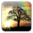 icon Sun Rise Live WallpaperFree 4.8.3