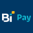 icon Bi Pay 3.0.0.15