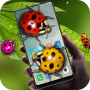 icon Ladybug in phone prank for Samsung S5830 Galaxy Ace