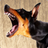 icon Barking Dog Ringtones 1.1.4