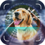 icon Dog Scanner: Breed Identifier for intex Aqua A4