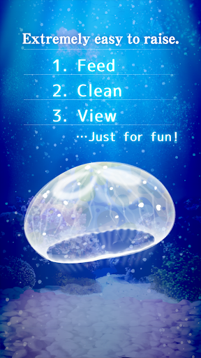 Jellyfish Pet