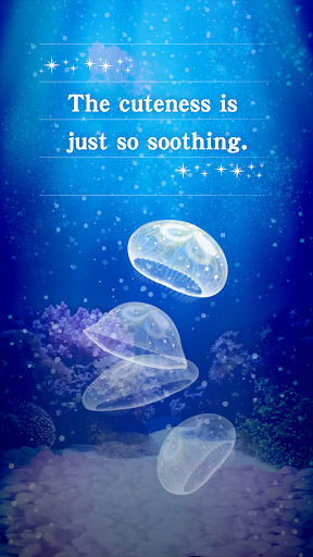 Jellyfish Pet