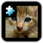 icon Kitten Puzzle