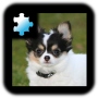 icon Jigsaw Puzzle: Puppy for Huawei Y7 Prime