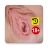 icon Hymen Anatomy 1.2