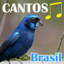 icon Canto Dos Pássaros Brasil