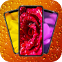 icon Imagenes de Flores y Rosas