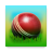icon Cricket 3D 1.8.3