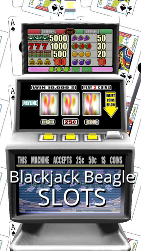 3D Blackjack Beagle Slots