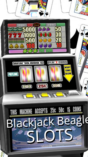 3D Blackjack Beagle Slots