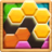 icon Wood Block PuzzleHexa 1.0.1