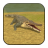 icon Wild Crocodile Sim 2.0