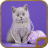 icon Cat Jigsaw Puzzles 58.0.0