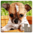 icon Dog Puzzles 31.5