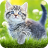 icon 7Fon Cats 5.7.91