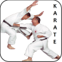 icon Karate for intex Aqua A4