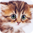icon 7Fon Cute Animals 5.7.91