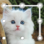 icon Kitty Cat Lock Screen for iball Slide Cuboid