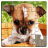 icon Dog Puzzles 33.5