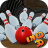 icon 3D Bowling With Wild 1.79