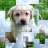 icon PicPu Dog Puzzle 6.00