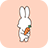 icon Bunny and Carrot 1.0.0