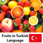 icon Fruits Vegs Turkish