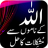 icon ALLAH Kay Namon Se Hal 1.1