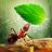 icon Little Ant Colony 3.4.1