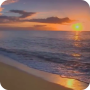 icon Sunset Beach Live Wallpaper