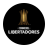 icon CONMEBOL Libertadores 3.0.8