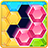 icon Block Puzzle 1.5.304