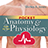 icon Pocket Anatomy and Physiology 3.7.2
