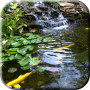 icon Pond with Koi Live Wallpaper for Samsung Galaxy Grand Duos(GT-I9082)
